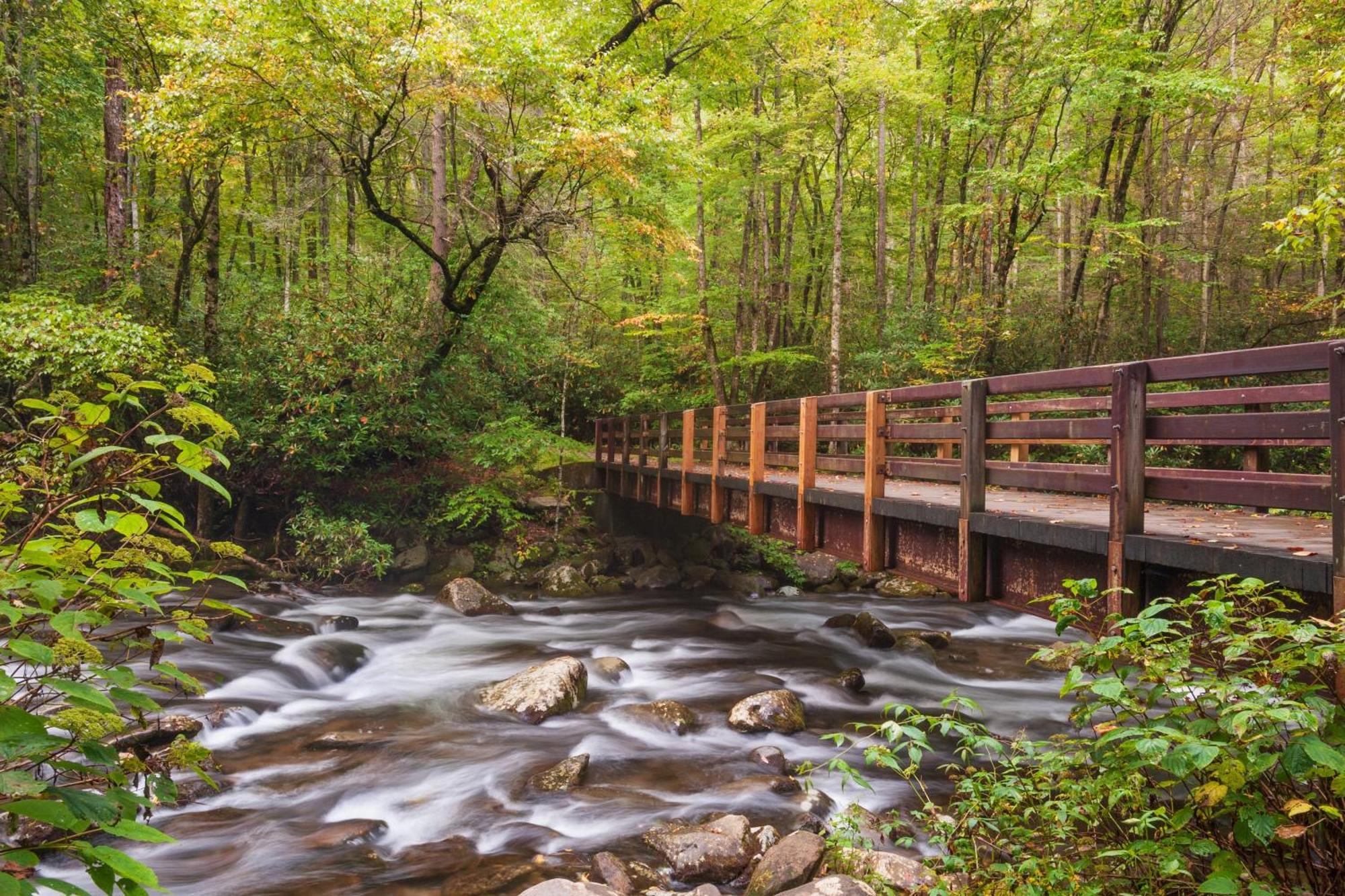 Breathtaking View, Hot Tub, 1089 Of Free Attraction Tickets For Each Paid Day, Dollywood And More! Sevierville Luaran gambar